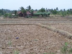 539910052008(6).JPG