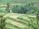 30854CIMG0704.JPG