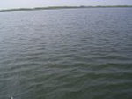 1301R0015100_small.jpg