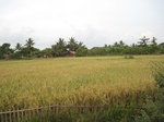15690IMG_4768.JPG