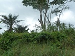 20257P1020112.JPG