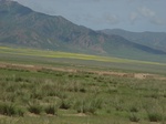 276062003-Q5.JPG