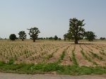 18978P1000822.JPG