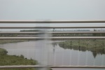 2024-08-05_16-15-34_51065ED7-DC68-4EAD-B3A3-496F9CABF356.jpeg