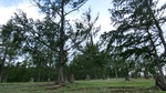 33785CIMG2458.JPG