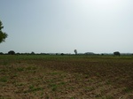 18928P1000772.JPG