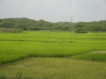 21389DSC00668.JPG