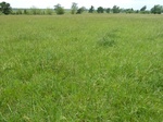 29202WIST20110518GPS.JPG