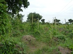 18379P1000215.JPG