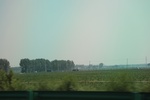 2024-08-05_13-59-41_A4300E6E-FCAE-4112-9D37-95D3322D92C9.jpeg