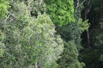 2024-10-10_17-18-17_31861704-B445-4125-9E95-41277445CC0E.jpeg
