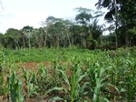 25008P1010974.JPG