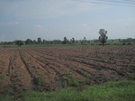 34469IMG_5452.JPG