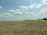 35611DSC02113.JPG