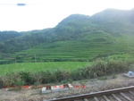 39015CIMG1581.gps.jpg