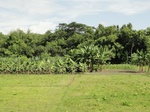 22147DSC00391.JPG