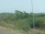 51570P1000748.JPG