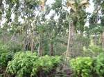 15675IMG_4749.JPG