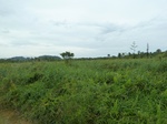 55118Berau (434).JPG