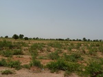 18986P1000830.JPG