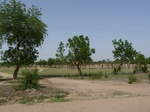 19155P1010001.JPG