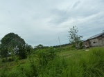 55009Berau (308).JPG