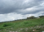 32236p15_s.jpg