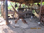 31841IMG_5433.JPG