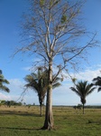 31938IMG_5667.jpg