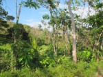 31953IMG_5660.JPG