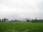15359IMG_4203.JPG