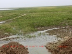 39122CIMG4853.gps.jpg