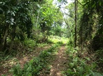 47041CIMG3378.JPG