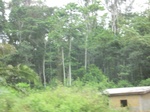 48873CIMG5210.JPG