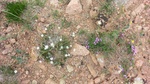33820CIMG2516.JPG