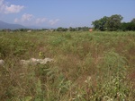 26481RIMG0283.JPG