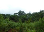 20537P1020394.JPG
