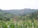 33600RIMG0265.JPG