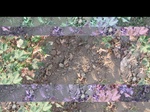 11694vp-088-Irrigated (Surface water) cotton-b.jpg