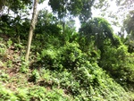 31124CIMG0986.JPG