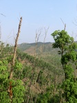 53491CIMG6828.JPG