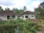 31025CIMG0887.JPG