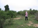 1039905-shrubland-degradeda.gif