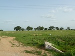 18898P1000740.JPG