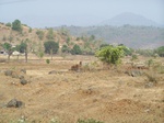 506020042008(108).JPG
