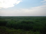 54305DSCN1578.JPG