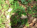 46359CIMG0648.JPG