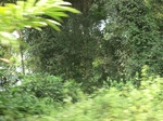 48528CIMG4865.JPG