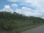 26708IMG_3434.JPG
