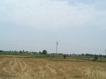 1687502052008(33).JPG